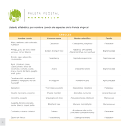 ÁRBOLES Listado Alfabético Por Nombre Común De Especies De La