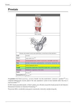 Prostate 1 Prostate