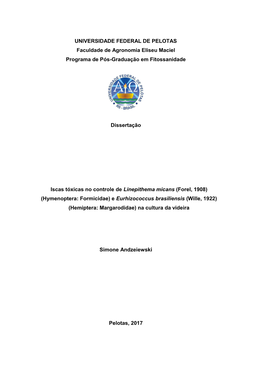 Dissertação Simone Andzeiewski.Pdf