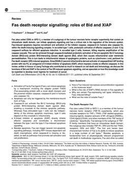 Roles of Bid and XIAP