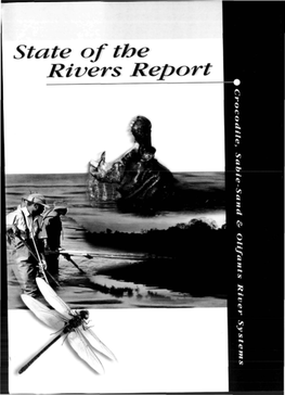 State of the Rivers Report Obtainable From