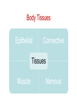 Nervous System -I