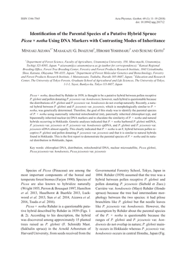 Identification of the Parental Species of a Putative Hybrid Spruce Picea × Notha Using DNA Markers with Contrasting Modes of Inheritance