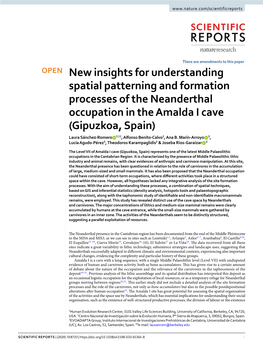 New Insights for Understanding Spatial Patterning and Formation Processes of the Neanderthal Occupation in the Amalda I Cave