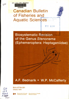 Of the Genus Stenonema (Ephemeroptera: Heptageniidae)