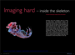 Imaging Hard – Inside the Skeleton Timothy G