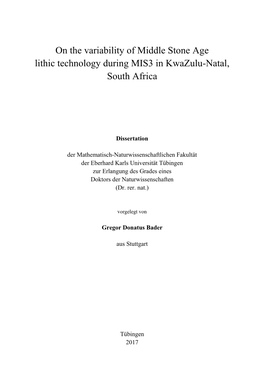 On the Variability of Middle Stone Age Lithic Technology During MIS3 in Kwazulu-Natal, South Africa