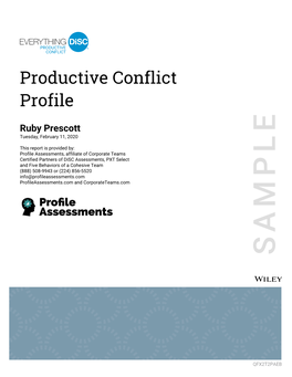 Productive Conflict Profile