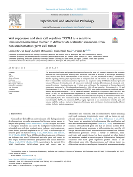 Wnt Suppressor and Stem Cell Regulator TCF7L1 Is a Sensitive