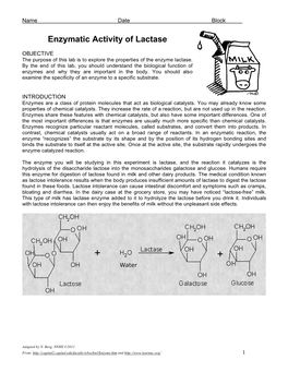 LAB Enzymatic Activity of Lactase