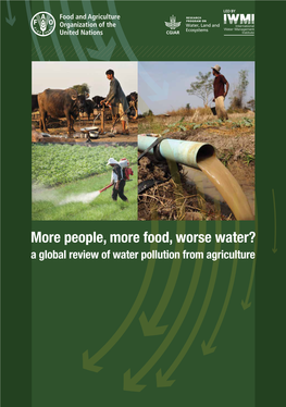 People, More Food, Worse Water?