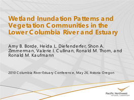 Wetland Inundation Patterns and Vegetation Communities in the Lower Columbia River and Estuary