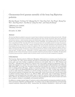 Chromosome-Level Genome Assembly of the Bean Bug Riptortus Pedestris