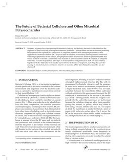 The Future of Bacterial Cellulose and Other Microbial Polysaccharides