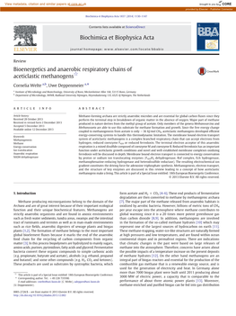 Bioenergetics and Anaerobic Respiratory Chains of Aceticlastic Methanogens☆