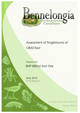 BHP Billiton Iron Ore Assessment of Troglofauna at OB32 East