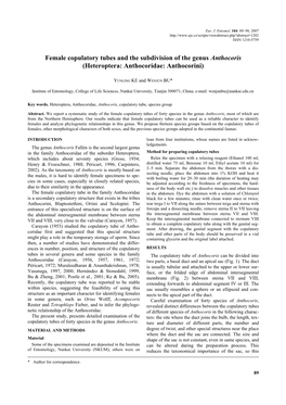 Female Copulatory Tubes and the Subdivision of the Genus Anthocoris (Heteroptera: Anthocoridae: Anthocorini)