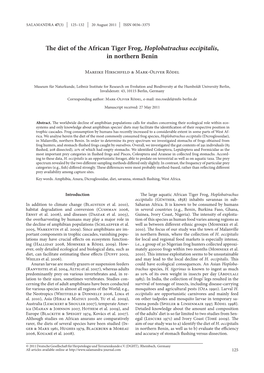 The Diet of the African Tiger Frog, Hoplobatrachus Occipitalis, in Northern Benin