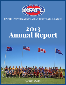 2013 Annual Report