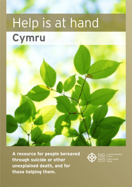 Help Is at Hand – Cymru