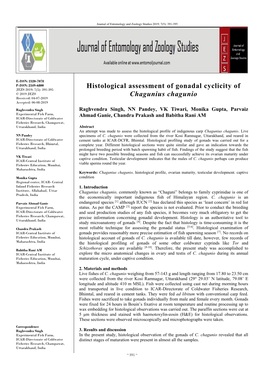 Histological Assessment of Gonadal Cyclicity of Chagunius Chagunio