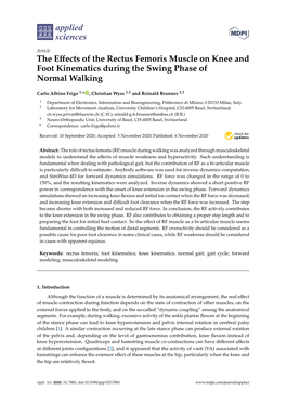 The Effects of the Rectus Femoris Muscle on Knee and Foot