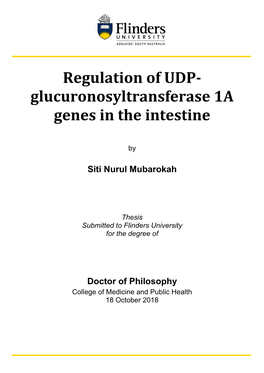 Regulation of UDP- Glucuronosyltransferase 1A Genes in the Intestine