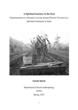 A Spiritual Journey to the East Experimentation in Alternative Living Among Western Travelers in a Spiritual Community in India