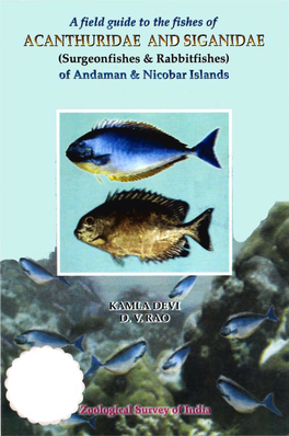 Surgeonfishes & Rabbitfishes