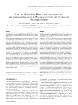 Structure of Staminate Flowers, Microsporogenesis, and Microgametogenesis in Helosis Cayennensis Var. Cayennensis (Balanophoraceae)