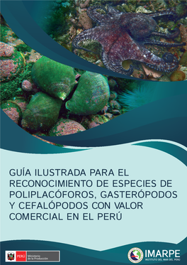 Guía Ilustrada Para El Reconocimiento De Especies De Poliplacóforos