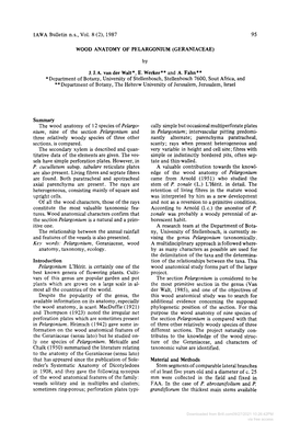 IAWA Bulletin N.S., Vol. 8 (2),1987 95 WOOD ANATOMY OF