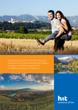 MICE Programmes