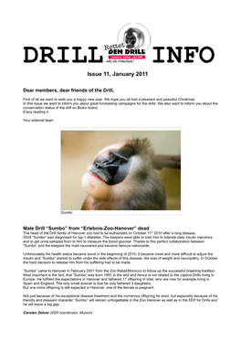 DRILL INFO Issue 11, January 2011 Dear Members, Dear Friends of the Drill