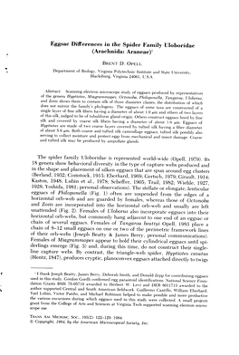 Eggsac Differences in the Spider Family Uloboridae (Arachnida: Araneae)L