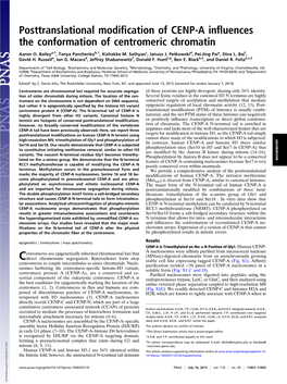 Posttranslational Modification of CENP-A Influences The