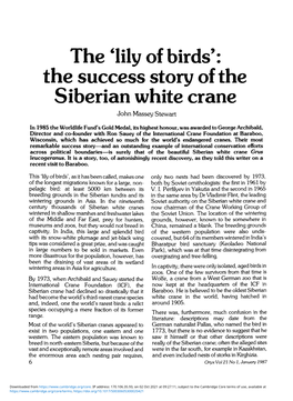 The 'Lily of Birds': the Success Story of the Siberian White Crane