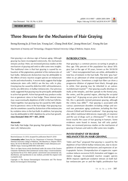 Three Streams for the Mechanism of Hair Graying