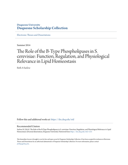 The Role of the B-Type Phospholipases in S. Cerevisiae: Function, Regulation, and Physiological Relevance in Lipid Homeostasis Beth a Surlow