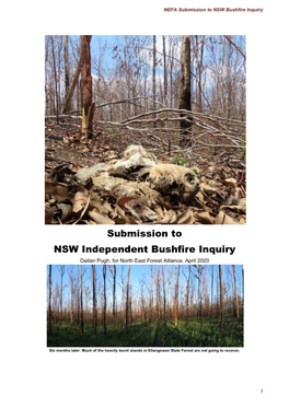 Submission to NSW Independent Bushfire Inquiry Dailan Pugh, for North East Forest Alliance, April 2020