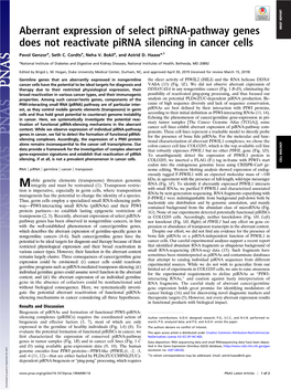 Aberrant Expression of Select Pirna-Pathway Genes Does Not