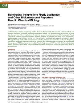 Illuminating Insights Into Firefly Luciferase and Other