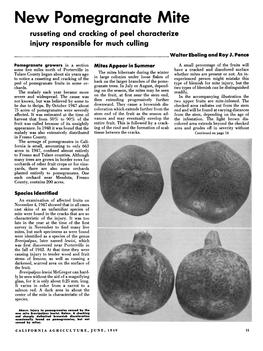 New Pomegranate Mite Russeting and Cracking of Peel Characterize Injury Responsible for Much Culling