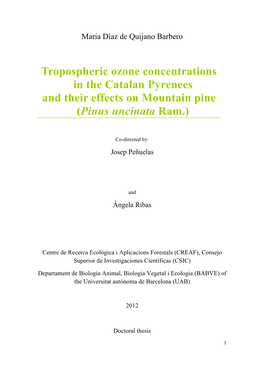 Tropospheric Ozone Concentrations in the Catalan Pyrenees and Their Effects on Mountain Pine (Pinus Uncinata Ram.)