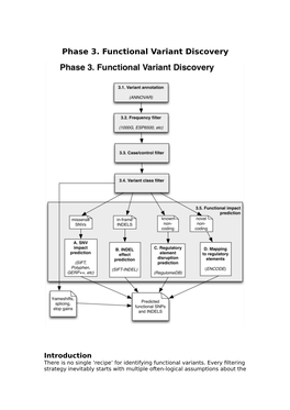 Phase 3. Functional Variant Discovery