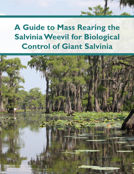 A Guide to Mass Rearing the Salvinia Weevil for Biological Control of Giant Salvinia