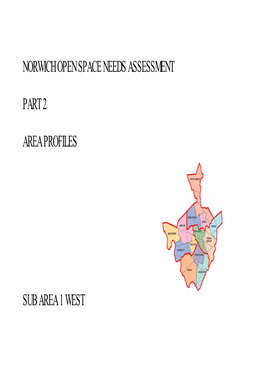 Norwich Open Space Needs Assessment