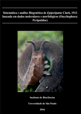 Sistemática E Análise Filogenética De Epiperipatus Clark, 1913 Baseada Em Dados Moleculares E Morfológicos (Onychophora: Peripatidae)