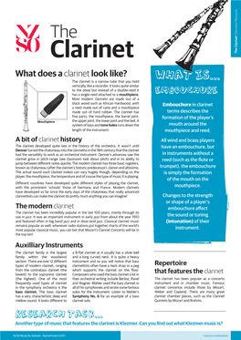 Clarinet Petty Clarinet What Does a Clarinet Look Like? What Is