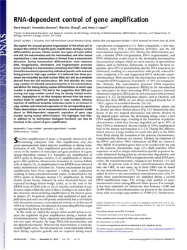 RNA-Dependent Control of Gene Amplification